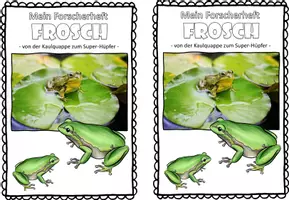 Vorschau - Unterrichtsreihen - Wirbeltiere I Forscherheft I Frösche I Amphibien - Seite 3
