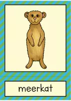 Vorschau - Stationenlernen - Zoo Animals Flash Cards / Bildkarten (Englisch) - Seite 3