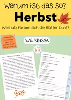 Vorschau - Stationenlernen - Leseverstehen Herbst - Blätter fallen ab, inkl. Lösungen - Deckblatt