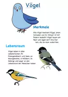 Vorschau - Text - Klassen der Wirbeltiere (einfache Infotexte) - Deckblatt