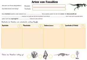 Vorschau - Arbeitsblätter - Paläontologie / Fossilien / Evolution / Entwicklung Arten - Seite 1