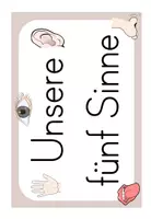 Vorschau - Anderer Materialtyp - Unsere Sinne: Tafelmaterial - Seite 3