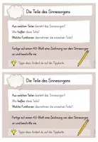 Vorschau - Aufgabenkarten - Unsere Sinne: Aufgabenkarten - Seite 3