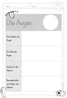 Vorschau - Arbeitsblätter - Unsere Sinne: Steckbriefe Sinne und Sinnesorgane - Seite 3