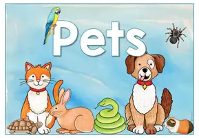 Vorschau - Arbeitsblätter - Pets - Materialpaket - Seite 1