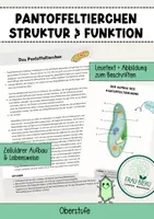 Vorschau - Arbeitsblätter - Das Pantoffeltierchen Zellbiologie Zytologie Einzeller - Deckblatt