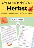 Vorschau - Stationenlernen - Leseverstehen Herbst - Blätter fallen ab, inkl. Lösungen - Seite 2