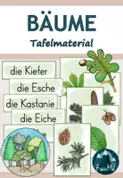 Vorschau - Spiele - Bäume im Sachunterricht (Klasse 3/4) – Materialpaket für die Grundschule - Seite 1