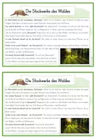 Vorschau - Text - Bäume und Wald: Wissenskartei mit Infokarten - Seite 3