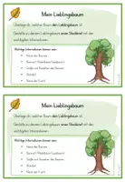 Vorschau - Aufgabenkarten - Bäume: Aufgabenkarten - Seite 2