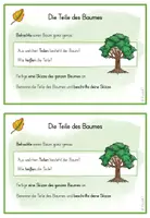 Vorschau - Aufgabenkarten - Bäume: Aufgabenkarten - Seite 3