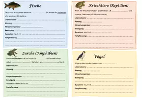 Vorschau - Arbeitsblätter - Wirbeltierklassen Steckbriefe / Biologie - Deckblatt