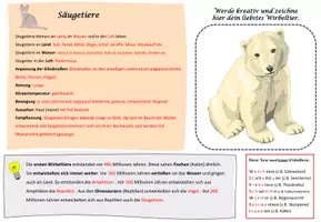 Vorschau - Arbeitsblätter - Wirbeltierklassen Steckbriefe / Biologie - Seite 3