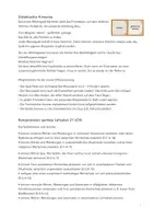 Vorschau - Stationenlernen - Fremdwörter-Memospiel 5 (Wortschatz) - Seite 2