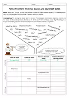 Vorschau - Arbeitsblätter - Säuren und Säurerest-Anionen - Kreatives Arbeitsblatt mit Musterlösung - Seite 1