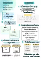 Vista previa - Tarjetas / Manipulativos - Esquema T4. El niño descubre a otros (Opos Ed. Infantil) - página 2