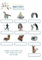 Aperçu - Apprentissages en autonomie - The velociraptor, What’s this ? - Page 1