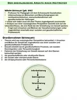 Vorschau - Text - Heitmeyer- Biografie und Grundannahmen - Deckblatt