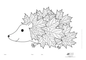 Vorschau - Mal- und Bastelvorlagen - How to draw a hedgehog & colouring picture *arts* - Seite 3