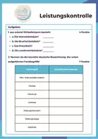 Vorschau - Test - Leistungskontrolle Bewegungsapparat inkl. Diskusprolaps - Seite 1