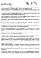Vorschau - Stundenentwürfe - Herbstliche Fantasiereise - Der kleine Igel - Seite 1