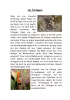 Vorschau - Stundenentwürfe - Fortbewegung von Wirbeltieren an Land - Gruppenarbeit / Unterrichtsmaterial - Seite 2