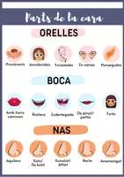 Vista previa - Refuerzo / NEE / Materiales de apoyo - PARTES DE LA CARA - página 2