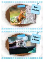 Vorschau - Spiele - Winterquartier gesucht! Spiel für den Sachunterricht / Waldtag - Seite 1