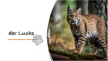 Vorschau - Präsentationen/Tafelbilder - Interaktive PDF Luchs, Sachunterricht - Seite 1