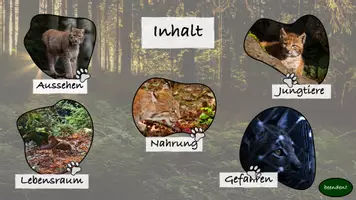 Vorschau - Präsentationen/Tafelbilder - Interaktive PDF Luchs, Sachunterricht - Seite 2