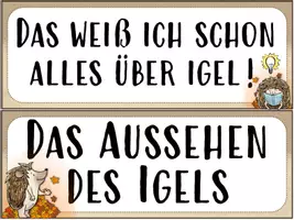 Vorschau - Poster - Igel - Stundentransparenz und Themenplakate - Seite 1
