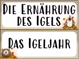 Vorschau - Poster - Igel - Stundentransparenz und Themenplakate - Seite 2