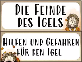 Vorschau - Poster - Igel - Stundentransparenz und Themenplakate - Seite 3