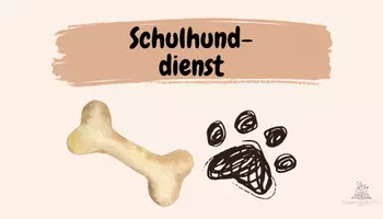 Vorschau - Bildkarten - Klassendienste - Seite 2