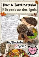Vorschau - Poster - Igel - Körperbau und Aussehen des Igels | Text & Tafelmaterial - Deckblatt