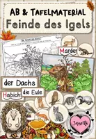 Vorschau - Arbeitsblätter - Igel - Feinde des Igels | AB & Tafelmaterial | Klasse 1 - Deckblatt