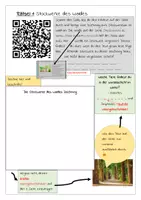 Vorschau - Arbeitsblätter - Exit Game: Gefangen im Wald, QR Codes, Blattbestimmung, Nahrungsbeziehung,... - Seite 3