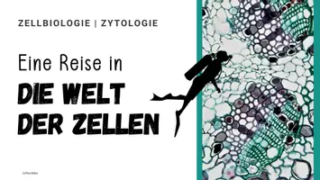 Vorschau - Unterrichtsreihen - Materialpaket Unterrichtsreihe Zellbiologie I Unterrichtseinheit EF - Seite 1