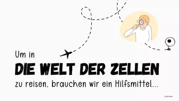Vorschau - Unterrichtsreihen - Materialpaket Unterrichtsreihe Zellbiologie I Unterrichtseinheit EF - Seite 2
