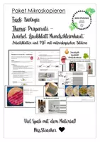 Vorschau - Arbeitsblätter - PAKET Mikroskopieren | Zwiebel, Laubblatt, Mundschleimhaut (AB) und PDF mit Fotos der Präparate - Deckblatt