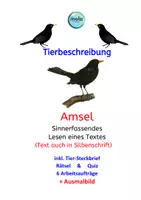 Vorschau - Arbeitsblätter - Sinnerfassendes Lesen AMSEL ( 6 Aufträge, Rätsel, Quiz usw.) - Deckblatt