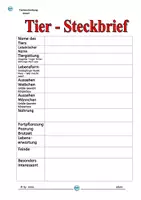 Vorschau - Arbeitsblätter - Sinnerfassendes Lesen AMSEL ( 6 Aufträge, Rätsel, Quiz usw.) - Seite 3