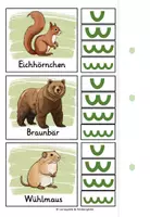Vorschau - Stationenlernen - Silben schwingen Tiere im Wald - Klammerkarten - Seite 3