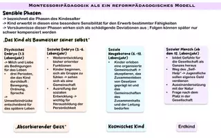 Vorschau - Text - Montessoripädagogik- sensiblen Phasen - Seite 1