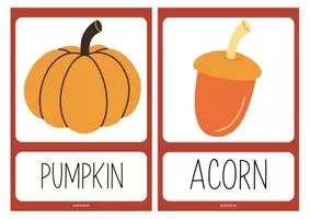 Vista previa - Tarjetas / Manipulativos - THANKSGIVING FLASHCARDS - página 3