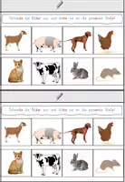 Vorschau - Arbeitsblätter - Mini Leseheft Tiere Klasse 2 - Silbenschrift - Seite 3
