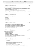 Vorschau - Test - Test/Kurzklausur Multiple Choice Zellaufbau - Seite 1