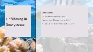 Vorschau - Präsentationen/Tafelbilder - Ökosysteme_Ökologie_Präsentation_Biologie_digital - Seite 2