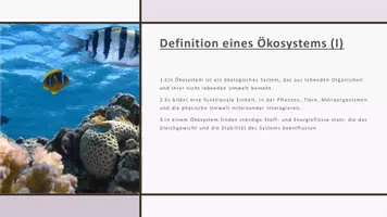 Vorschau - Präsentationen/Tafelbilder - Ökosysteme_Ökologie_Präsentation_Biologie_digital - Seite 3