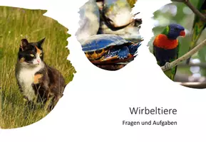 Vorschau - Arbeitsblätter - Wirbeltiere, Fragen und Aufgaben mit Lösungen - Seite 1